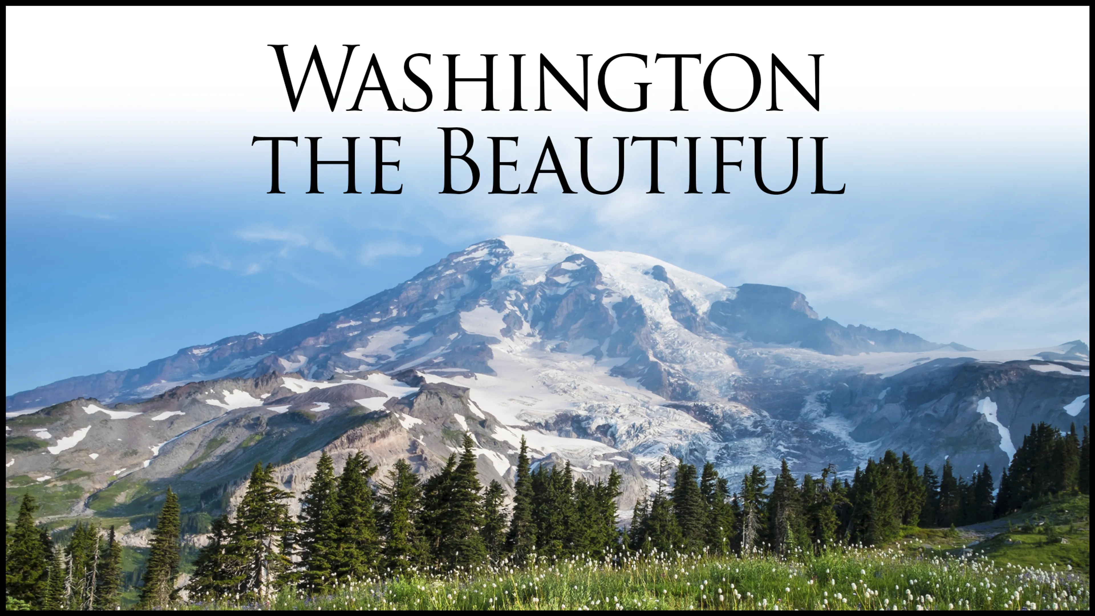 Washington the Beautiful poster